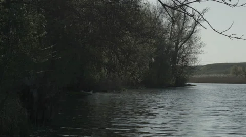 Spring nature Stock Footage 42755396