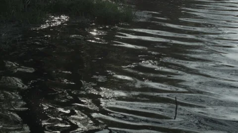 Spring nature Stock Footage 42755406