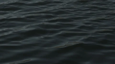 Spring nature Stock Footage 42755616