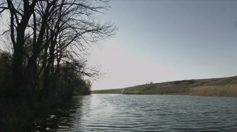 Spring nature Stock Footage 42756440