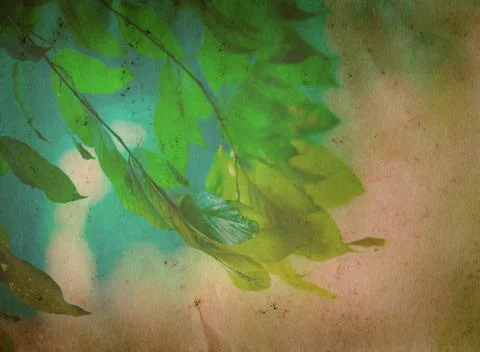 Spring nature green leaf old grunge paper texture Stock Illustration