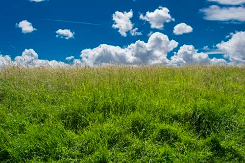 Spring nature, landscape Stock Photos