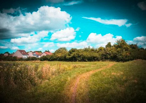 Spring nature, landscape Stock Photos