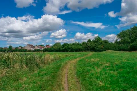Spring nature, landscape Stock Photos