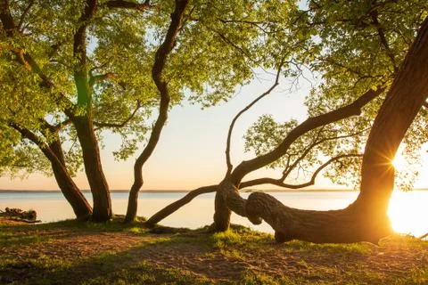 Spring nature landscape at sunset Stock Photos