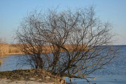Spring nature Stock Photos