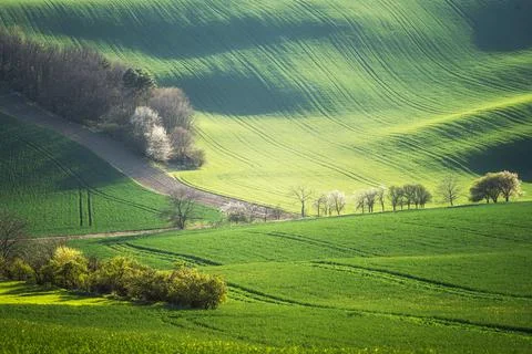 Spring nature Stock Photos