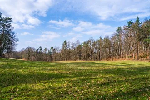 Spring nature scene. Beautiful landscape. Green grass in the meadow, Stock Photos