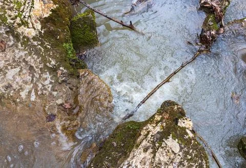 Spring in nature, a shallow riverbed with a small flow of water in a wooded a Stock Photos