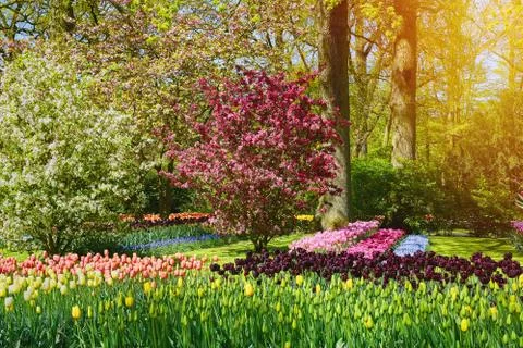 Spring in Netherlands Foto stock