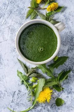 Spring nettle and dandelion smoothie Stock Photos