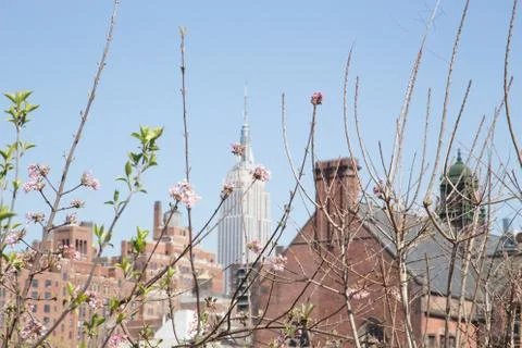 Spring in New York Stock Photos
