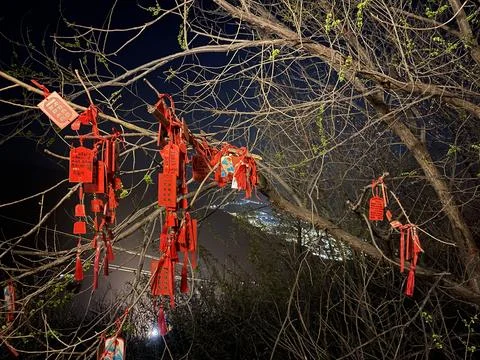Spring Night at Simatai Great Wall with Red Wishing Cards on Budding Branches Stock Photos