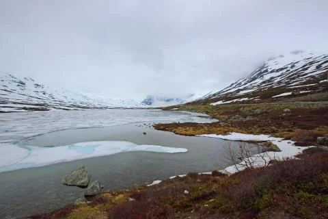 Spring Norway landscape 库存照片