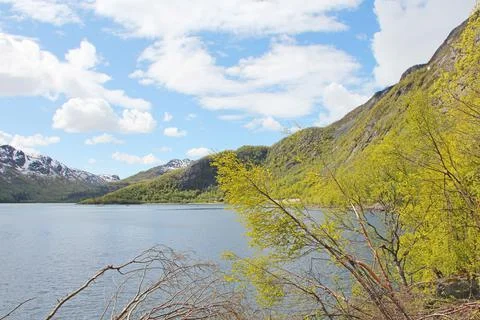 Spring Norway landscape Stock Photos