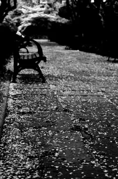 Spring In NYC Foto stock