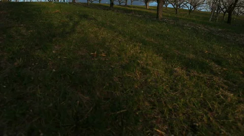 Spring Okanagan Orchards Video stock 707590