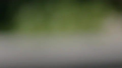 Spring onion cut in slow motion Stock Footage 116898157