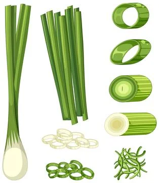 Spring onion in different forms Stock Illustration
