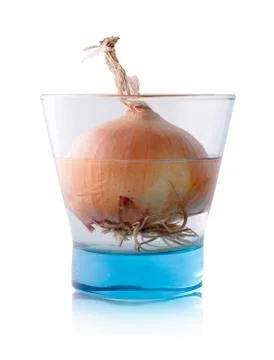 Spring onion in glass Stock Photos