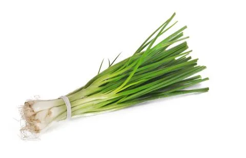 Spring onion isolated closeup Stock Photos