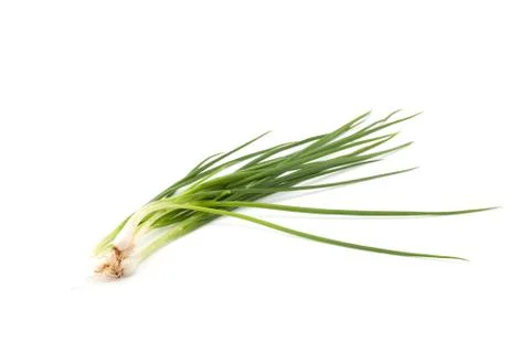 Spring onion isolated Stock Photos