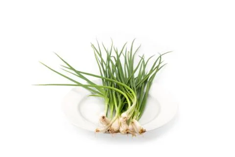 Spring onion isolated Stock Photos
