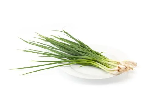Spring onion isolated Stock Photos
