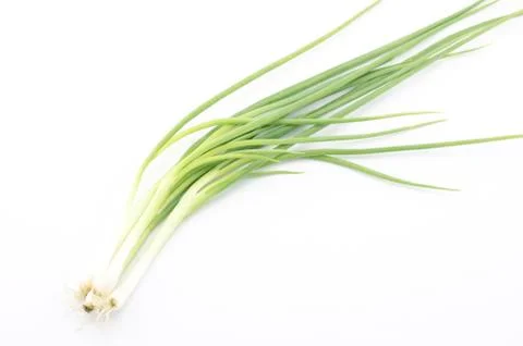 Spring onion isolated on white background Stock Photos