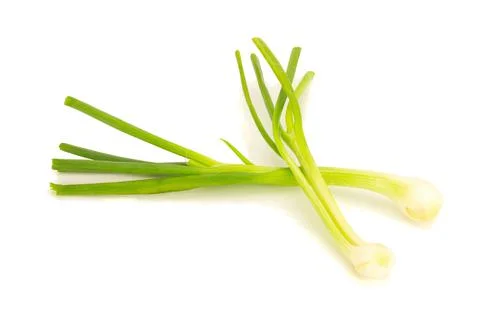 Spring onion isolated on the white background Stock Photos