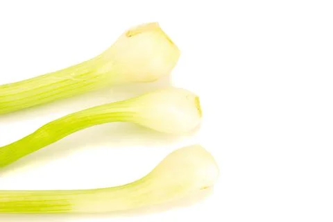 Spring onion isolated on the white background Stock Photos