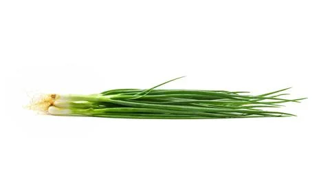 Spring Onion isolated on white background Stock Photos