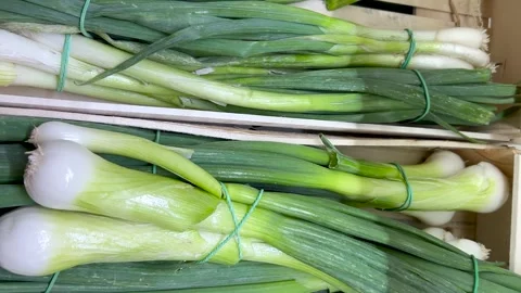 Spring onion or green onion, Tracking shot Video stock 285722662