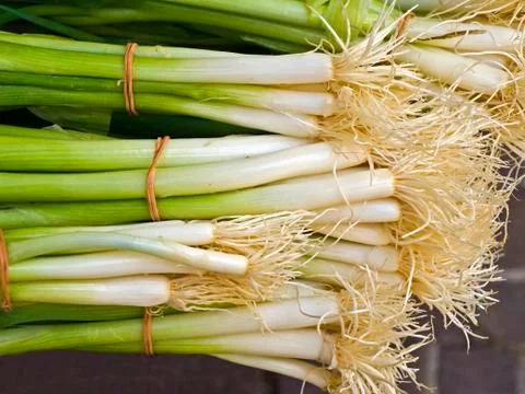 Spring onion Stock Photos
