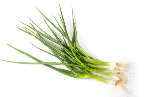 Spring onion Stock Photos