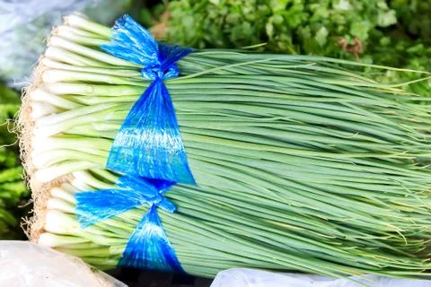 Spring onion Stock Photos