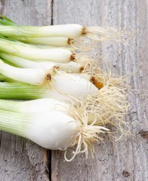 Spring onion Stock Photos