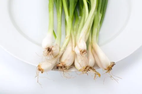 Spring onion Stock Photos