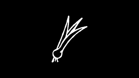Spring Onion Scallion Icon Stock Footage 345593018