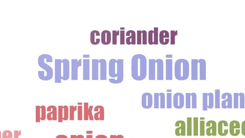 Spring Onion Tagcloud Animated Isolated On White Stock Footage 103560340