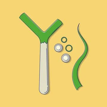 Spring Onion Vector Icon Illustration with Outline for Design Element, Clip.. Stock Illustration
