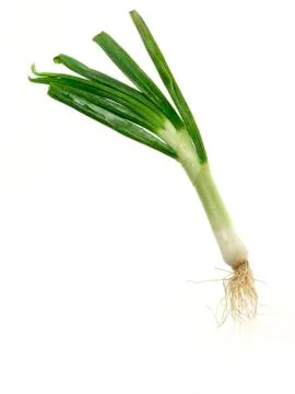 Spring onion on white background Stock Photos