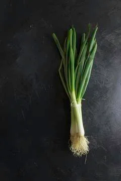 Spring onions on dark table background top Фото