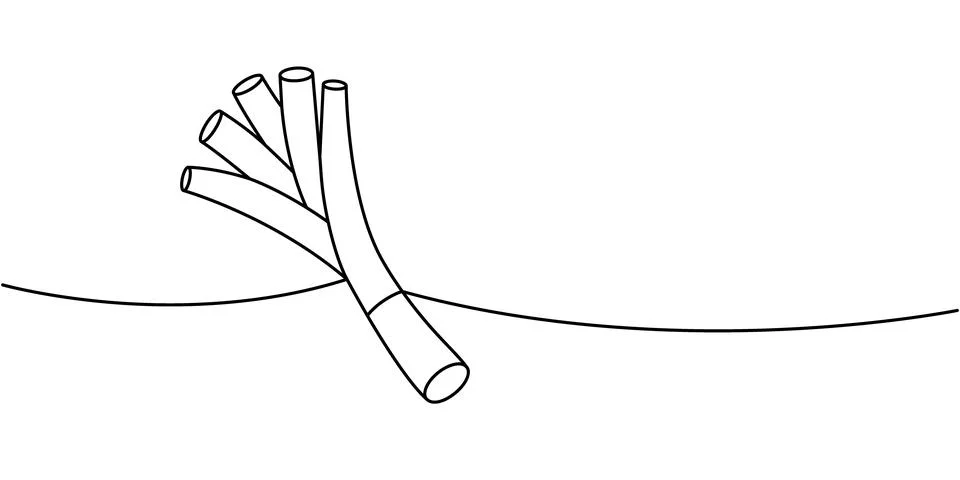 Spring onions one line continuous drawing. Fresh organic vegetable. Vector Stock Illustration
