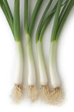 Spring onions Foto stock