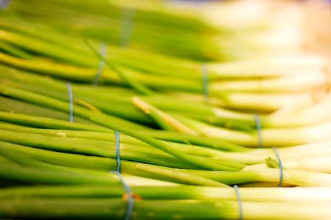Spring onions Stock Photos