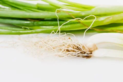 Spring onions Foto stock
