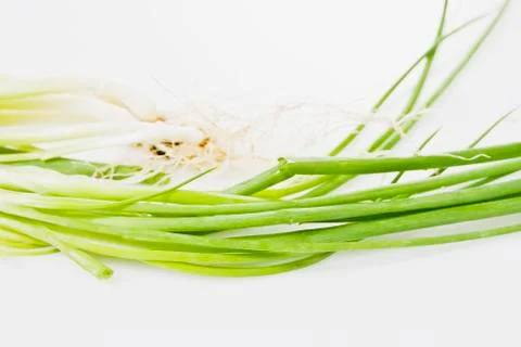 Spring onions Stock Photos