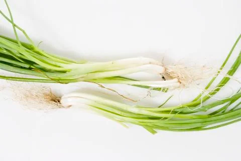 Spring onions Stock Photos