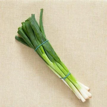 Spring onions Stock Photos